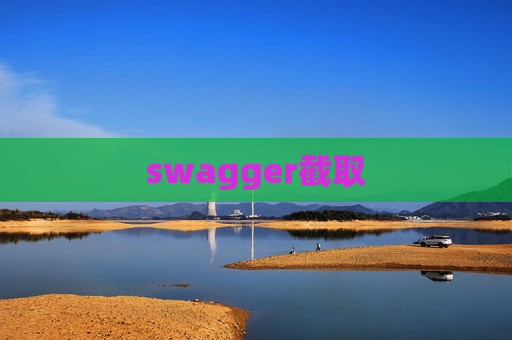 swagger截取